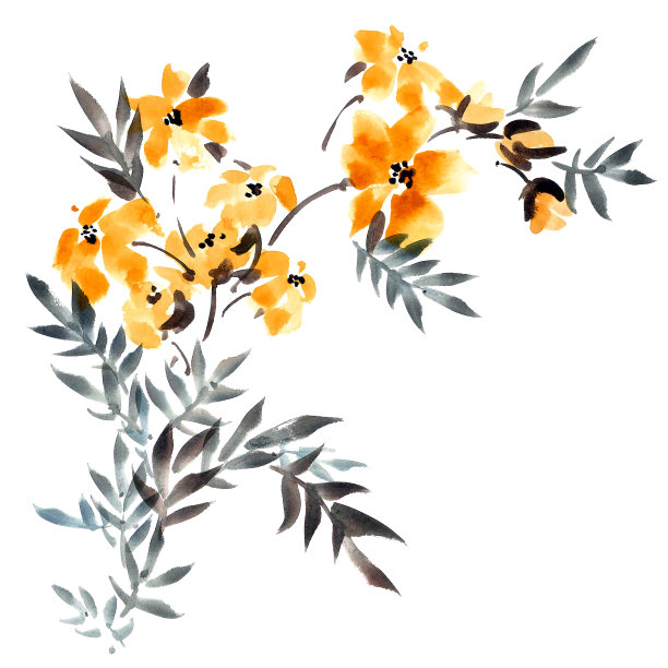 黄色花朵的花束图片下载