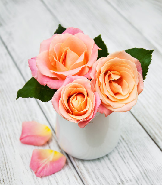 粉红玫瑰花瓶图片下载