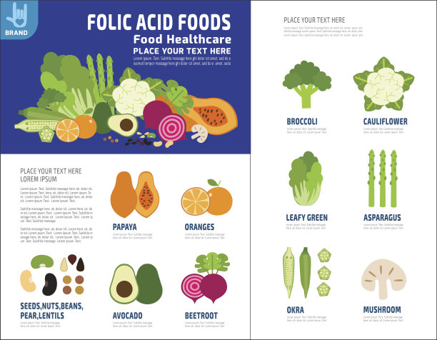 叶酸。食物健康计划孕妇维生素和矿物质信息图表元素。医疗保健的概念。矢量平面图标卡通设计插图模板宣传册传单网站。图片下载