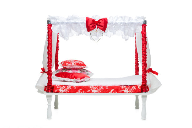 原来的狗的小床图片下载