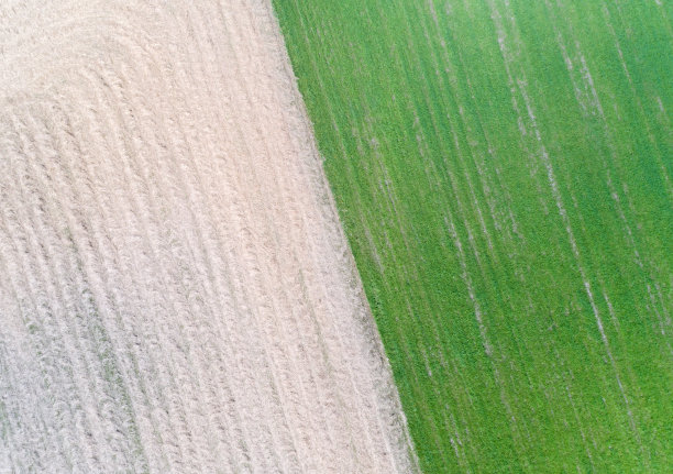 农田，航拍照片图片下载