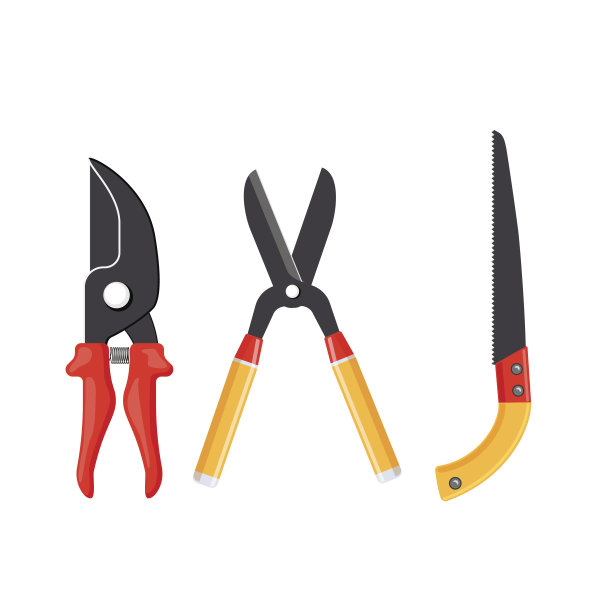 花园修剪器，剪刀和锯孤立在白色背景上。图片下载