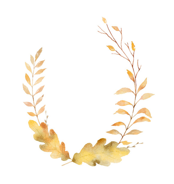 水彩花环的树叶和树枝孤立在白色的背景。素材图片