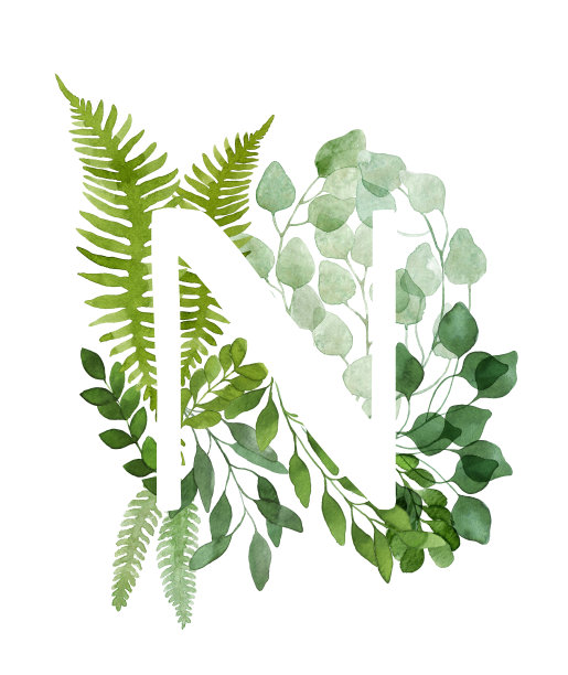 花字母N.美丽的绿色树叶和树枝用水彩画。图片下载