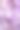 紫藤花素材图片