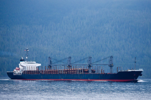 运输成堆原木的货轮图片下载