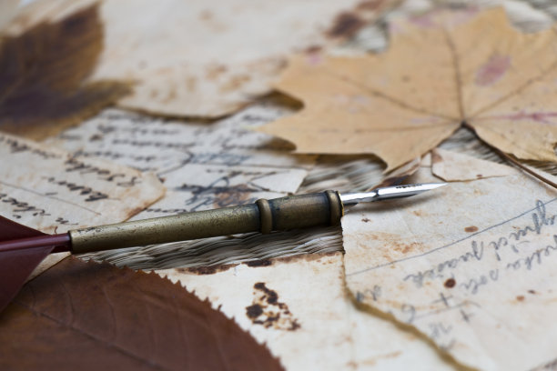 仍然生活。看到旧的手写纸条上的污迹。干树叶。羽茎。图片下载