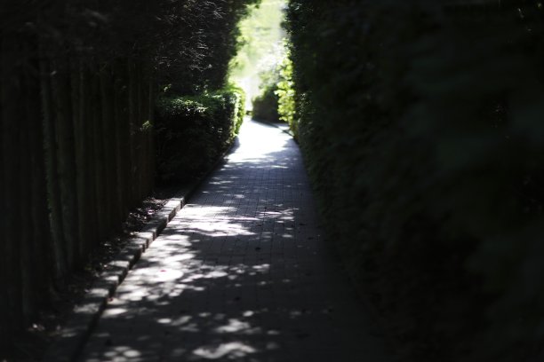 路有光有影图片下载