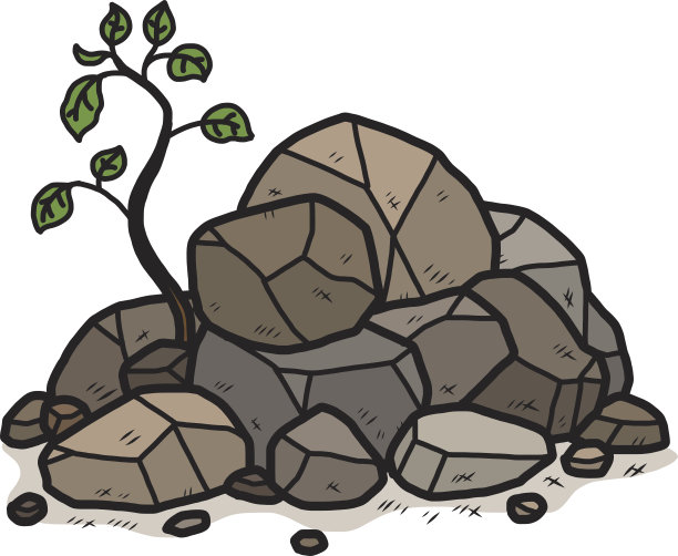 一堆石头中的小植物图片下载