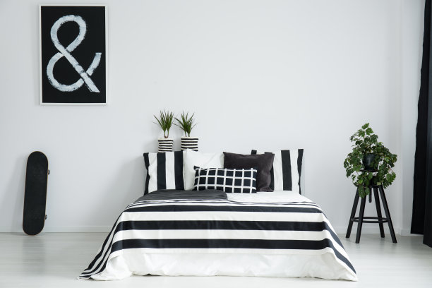 滑板与植物之间的特大号床图片下载