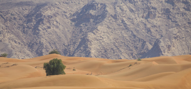 阿拉伯沙漠图片下载