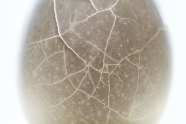 龟裂的蛋壳纹理特写。龟裂蛋壳粉调照片。图片下载