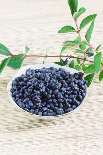 蓝熟金银花(lat。杯子里的忍冬和桌上的小树枝图片下载