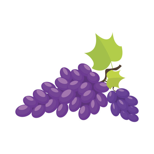 葡萄卡通插图图片下载