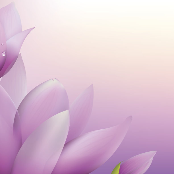 新鲜的木兰图片下载