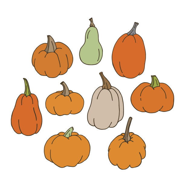 的南瓜图片下载