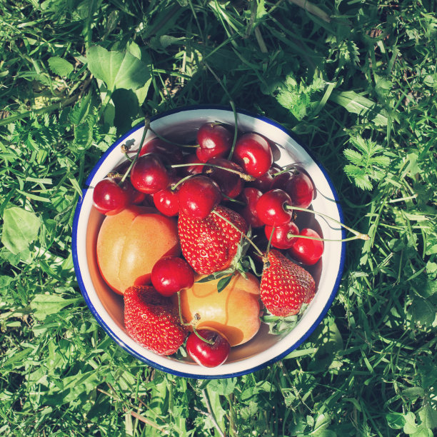 夏天的水果和浆果在一个碗里图片下载