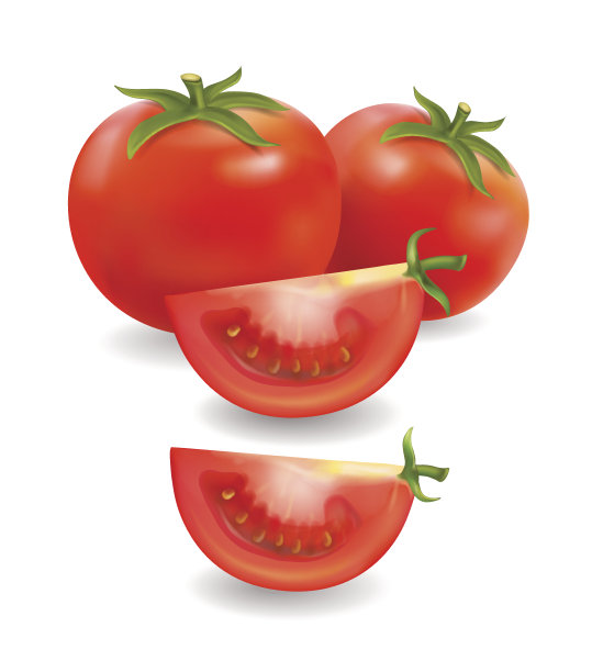 番茄和切片现实孤立矢量插图图片下载