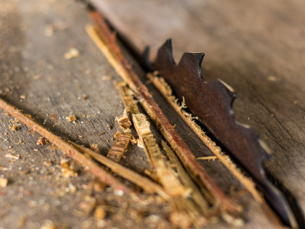 在工厂的桌子上有木材切割机的刀片图片下载