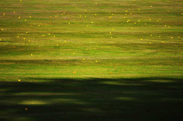 高尔夫球场图片下载
