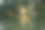 河流图片素材ID：308808612