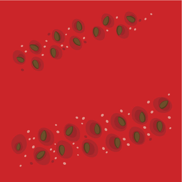 西瓜背景，西瓜种子，矢量插图图片下载