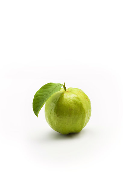 番石榴图片下载