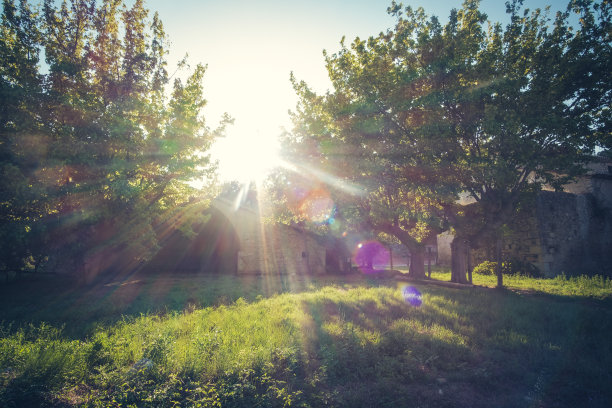 明亮的太阳透镜在风景上耀斑图片下载