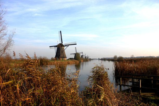 荷兰Kinderdijk镇的风车，村庄、河流、草地和农场的景观图片下载