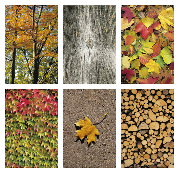 Autmn季节性背景图片下载