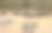 羚羊的一种图片下载