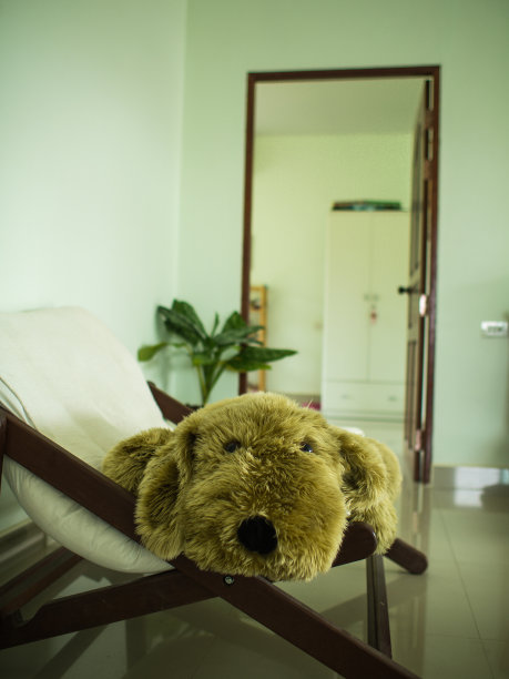 棕色毛皮狗娃娃在放松椅上图片下载