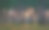 夏日森林的阳光图片下载