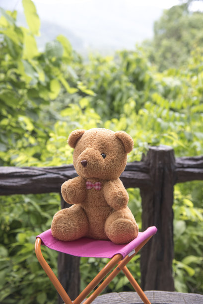 自然背景的泰迪熊图片下载