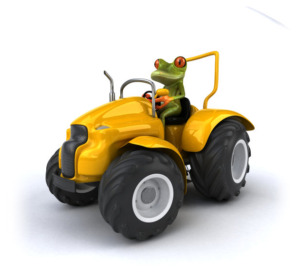 有趣的青蛙图片下载