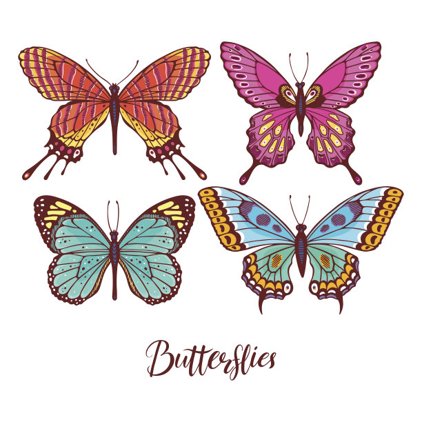 七彩蝴蝶套装图片下载