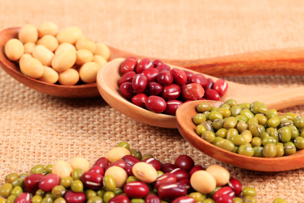 豆类的集合图片下载