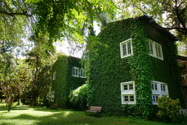 大自然中美丽的温室。图片下载