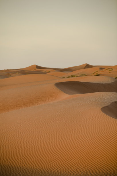 沙漠沙丘形态图片下载
