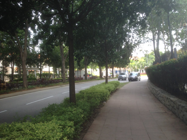 行人走图片下载