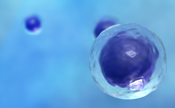 人类细胞图片下载