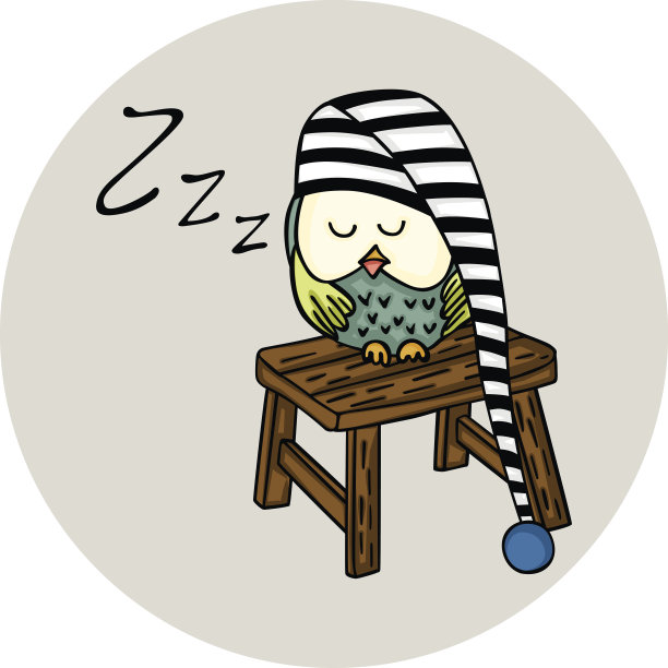 可爱的猫头鹰睡在木凳上图片下载