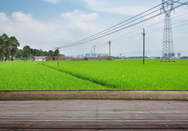 合成有纹理的木板地板和绿地背景。素材图片