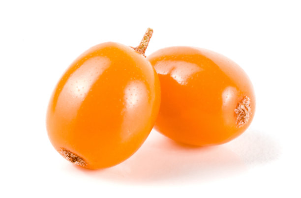 沙棘浆果孤立在白色背景宏图片下载