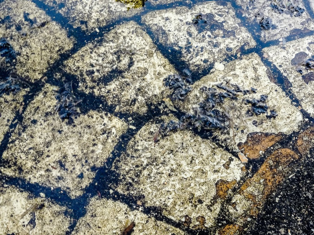 白石砖上的脏水坑图片下载