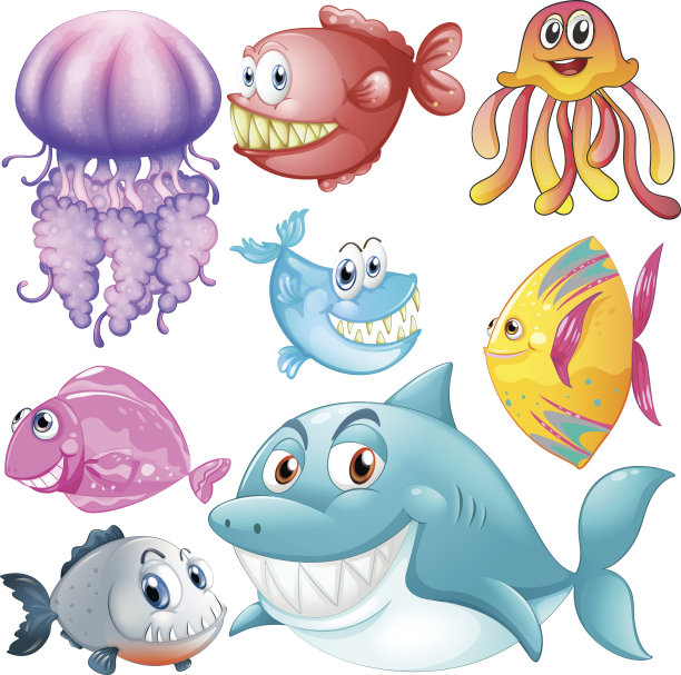 不同种类的海洋动物图片下载