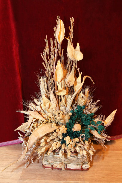 干燥的花图片下载