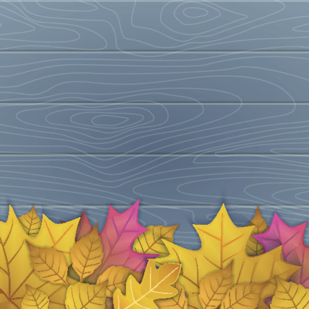 矢量插图的秋天树叶在木制的蓝色背景。俯视图图片下载