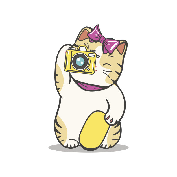 可爱的小猫拍照片图片下载