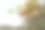 长满沙棘果实的灌木。图片下载